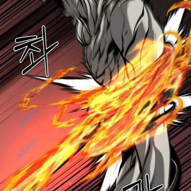 Nhân Vật Chính Ẩn Giấu Sức Mạnh Chapter 48 trang 11