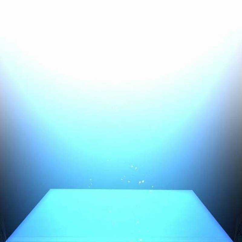 Nhân Vật Chính Ẩn Giấu Sức Mạnh Chapter 48 trang 55