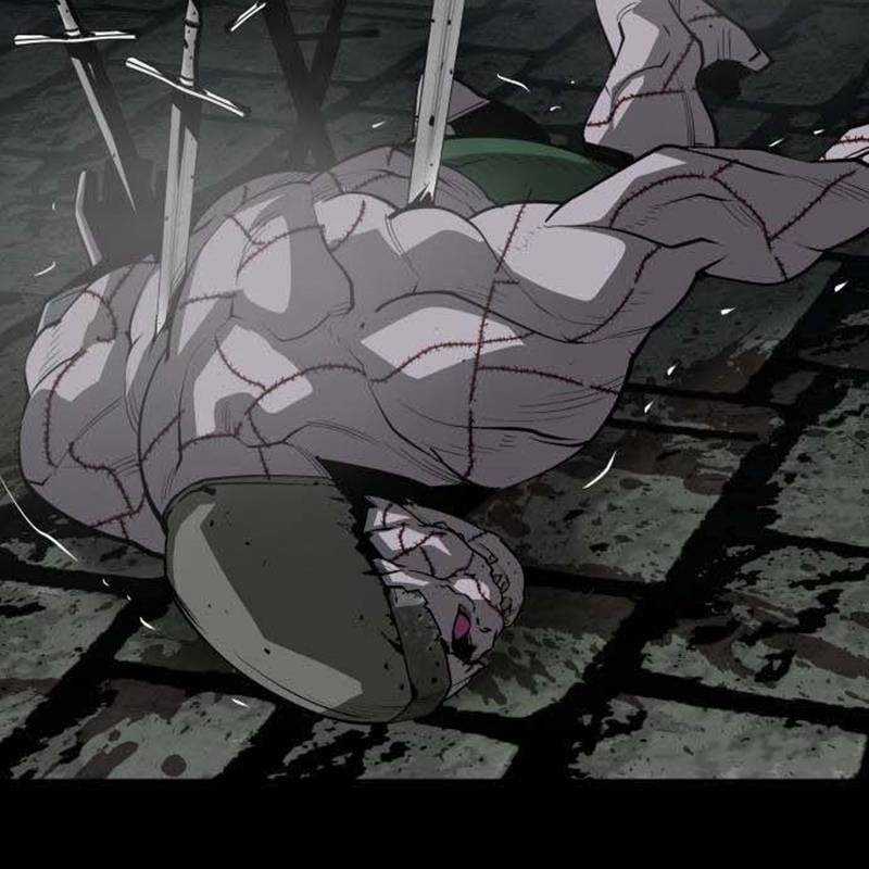 Nhân Vật Chính Ẩn Giấu Sức Mạnh Chapter 48 trang 96