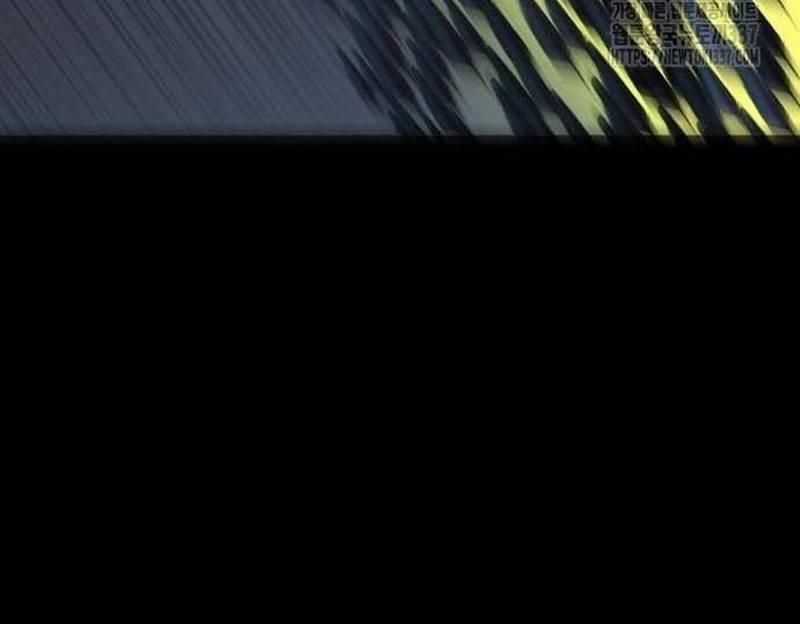 Nhân Vật Chính Ẩn Giấu Sức Mạnh Chapter 49 trang 205