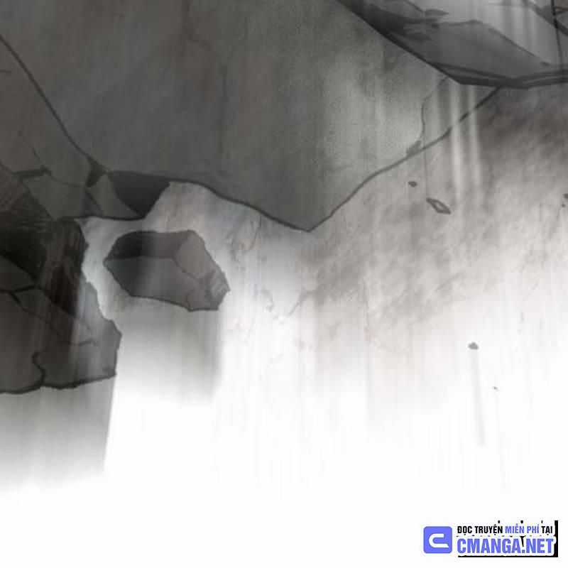 Nhân Vật Chính Ẩn Giấu Sức Mạnh Chapter 49 trang 303