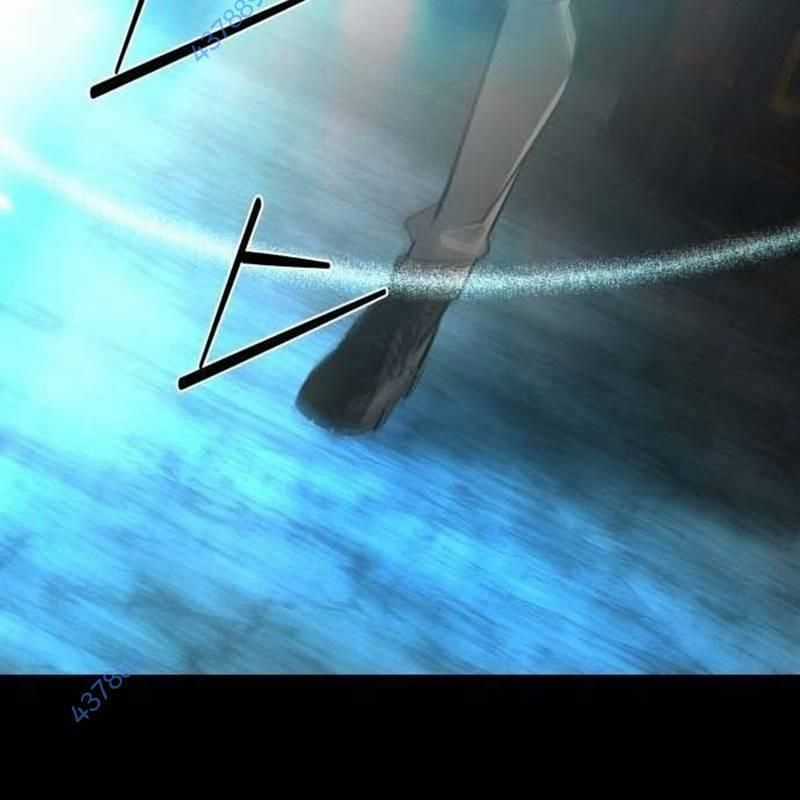 Nhân Vật Chính Ẩn Giấu Sức Mạnh Chapter 50 trang 269