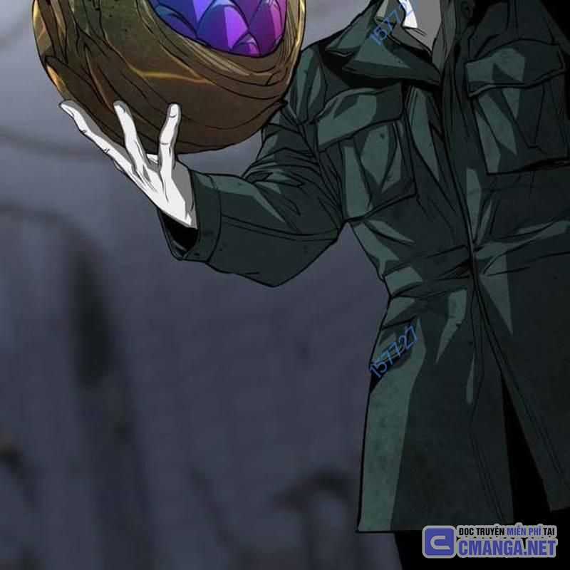 Nhân Vật Chính Ẩn Giấu Sức Mạnh Chapter 52 trang 231