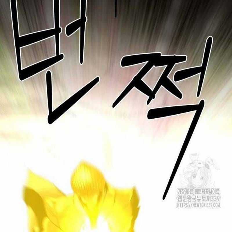 Nhân Vật Chính Ẩn Giấu Sức Mạnh Chapter 52 trang 34