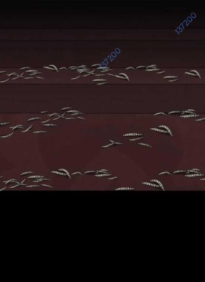 Nhân Vật Chính Ẩn Giấu Sức Mạnh Chapter 55 trang 169