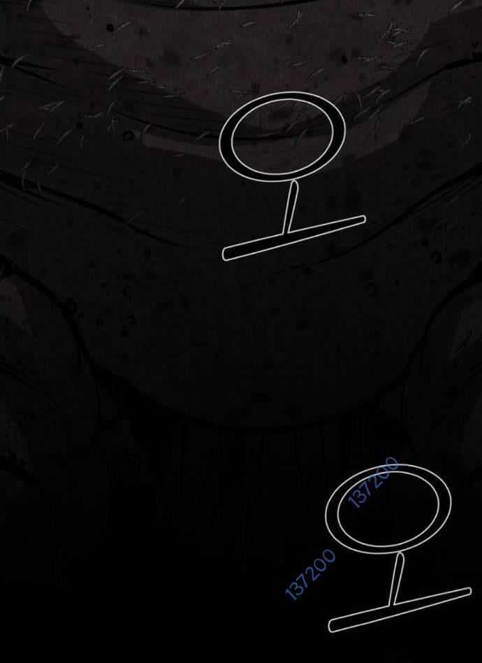 Nhân Vật Chính Ẩn Giấu Sức Mạnh Chapter 55 trang 172