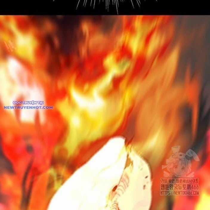 Nhân Vật Chính Ẩn Giấu Sức Mạnh Chapter 74 trang 240