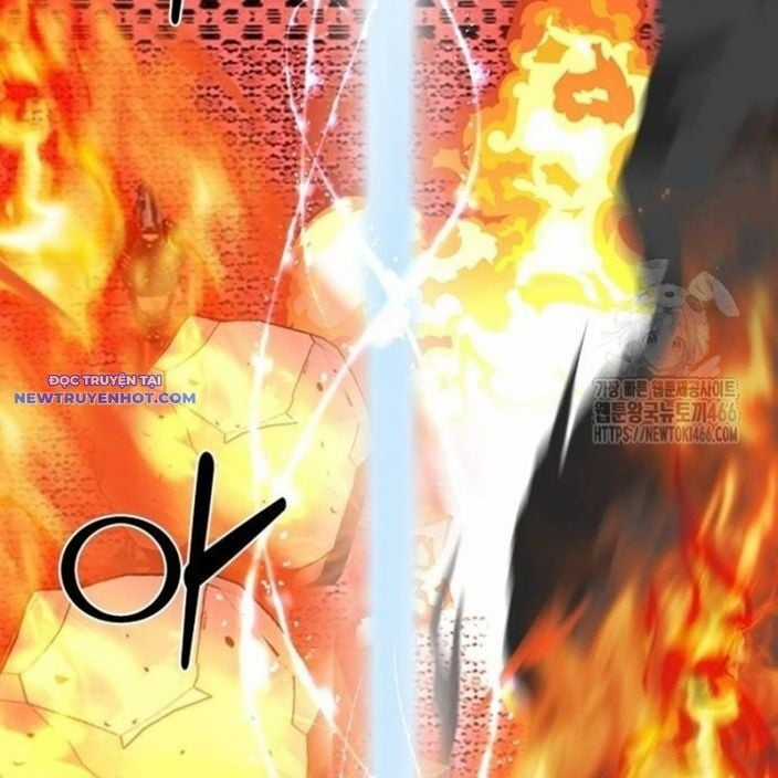 Nhân Vật Chính Ẩn Giấu Sức Mạnh Chapter 74 trang 245