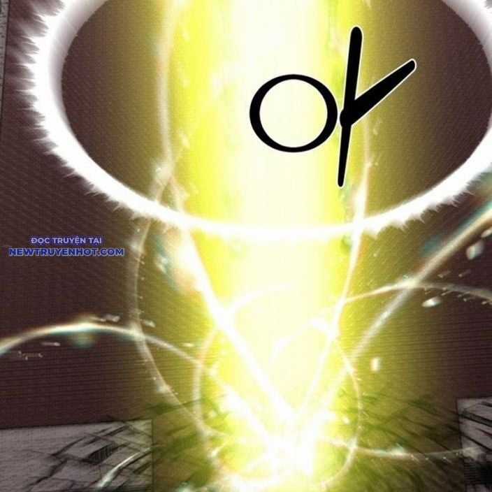 Nhân Vật Chính Ẩn Giấu Sức Mạnh Chapter 74 trang 272