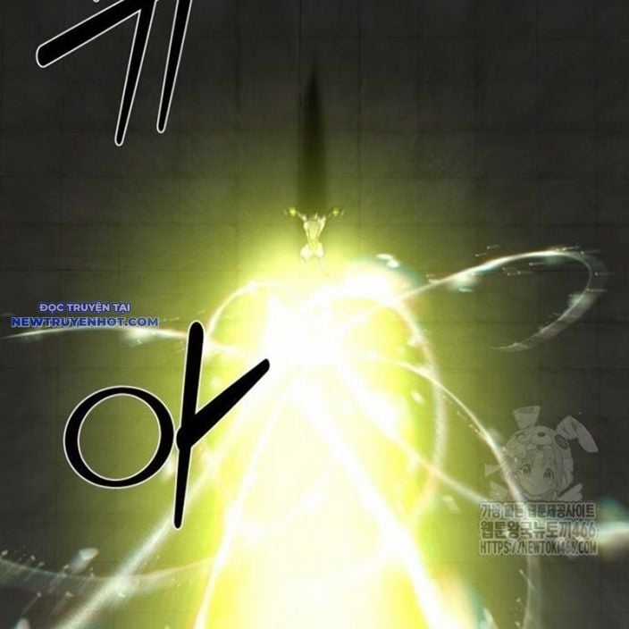 Nhân Vật Chính Ẩn Giấu Sức Mạnh Chapter 74 trang 305