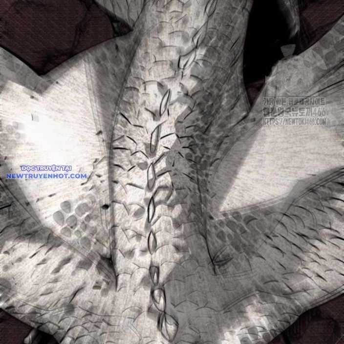 Nhân Vật Chính Ẩn Giấu Sức Mạnh Chapter 74 trang 46