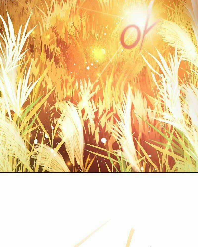 Nhân Vật Ngoài Lề Tiểu Thuyết Chapter 5 trang 47