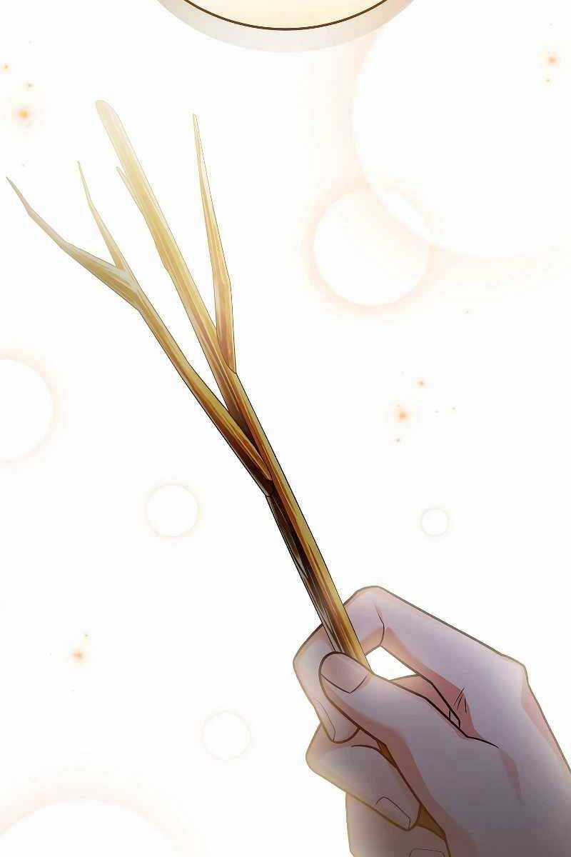 Nhân Vật Ngoài Lề Tiểu Thuyết Chapter 83 trang 97