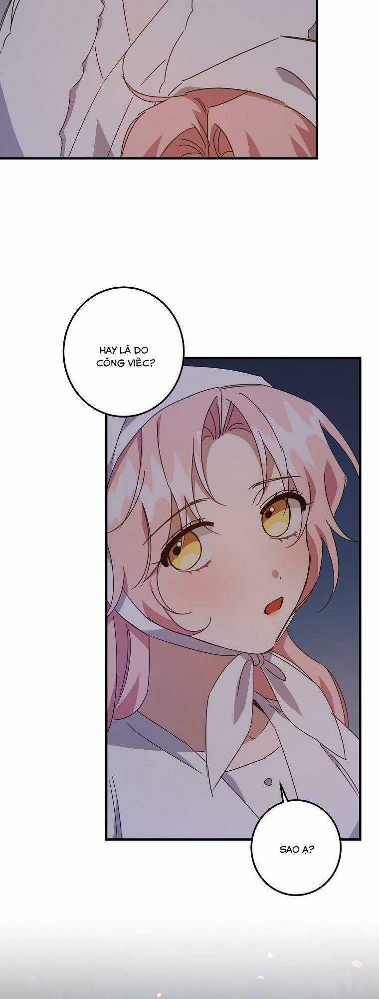 Nhân Vật Phản Diện Được Tôi Nuôi Dưỡng Tốt Chapter 14 trang 39