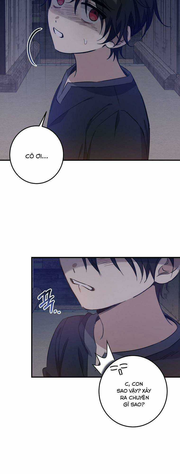 Nhân Vật Phản Diện Được Tôi Nuôi Dưỡng Tốt Chapter 17 trang 10