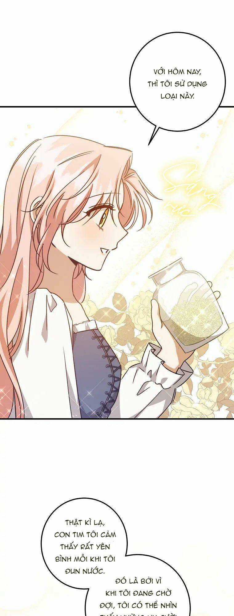 Nhân Vật Phản Diện Được Tôi Nuôi Dưỡng Tốt Chapter 27 trang 22