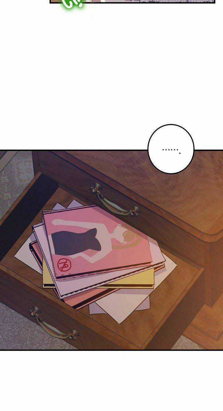 Nhân Vật Phản Diện Được Tôi Nuôi Dưỡng Tốt Chapter 6 trang 11