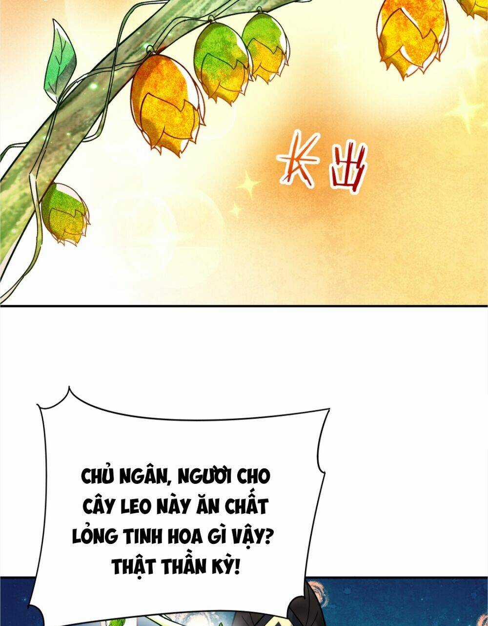 Nhân Vật Phản Diện Này Có Chút Lương Tâm, Nhưng Không Nhiều! Chapter 229 trang 18