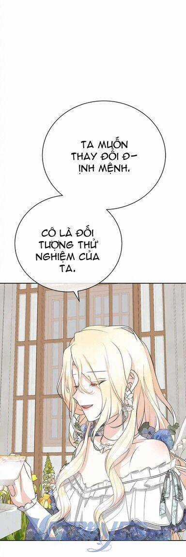 Nhân Vật Tôi Xuyên Vào, Chưa Từng Xuất Hiện Chương 35 trang 44