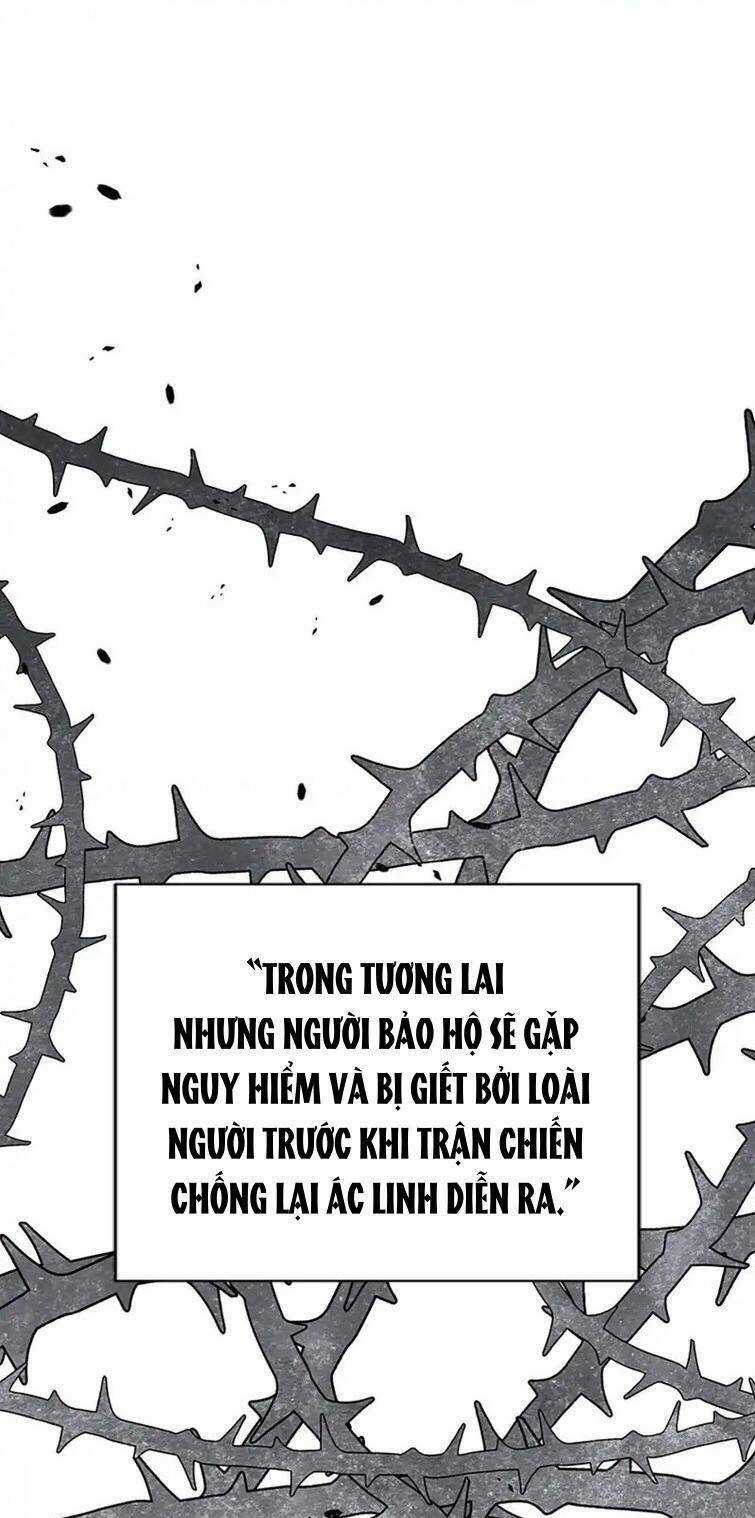 Nhân Vật Tôi Xuyên Vào, Chưa Từng Xuất Hiện Chương 46 trang 30