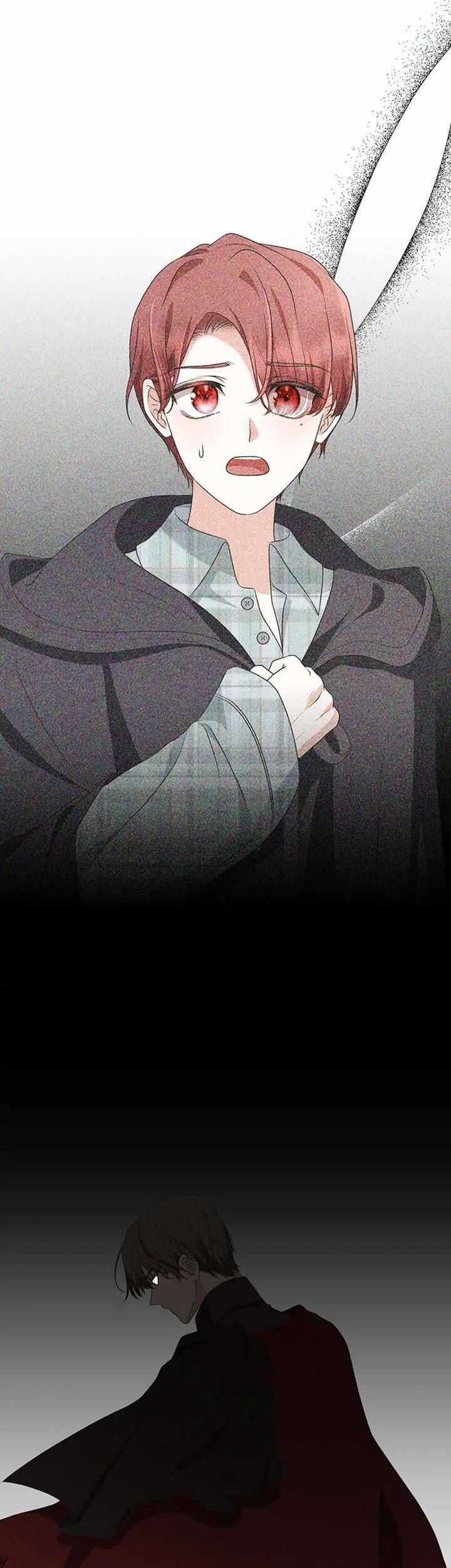 Nhân Vật Tôi Xuyên Vào, Chưa Từng Xuất Hiện Chương 64 trang 12