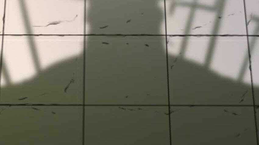 Nhập Hồn Ma Đạo Tổ Sư Chapter 30 trang 160