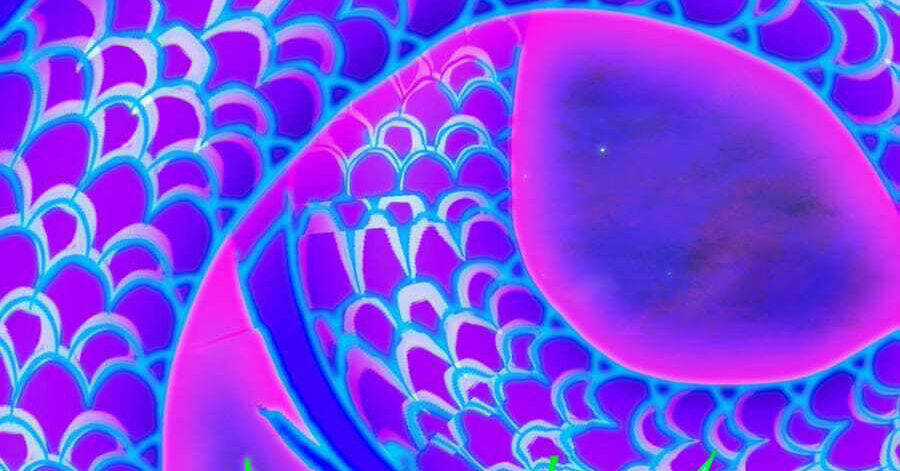 Nhập Hồn Ma Đạo Tổ Sư Chapter 32 trang 11