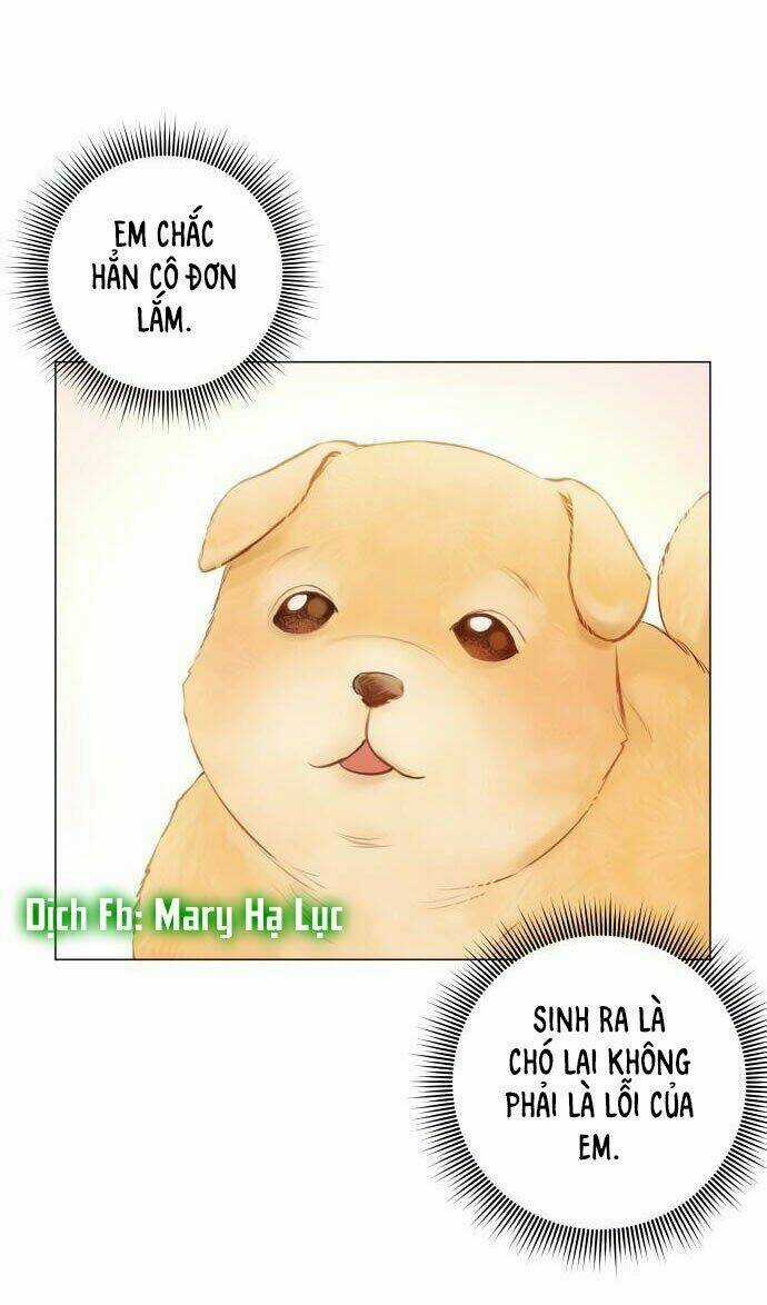 Nhất Định Chúng Ta Sẽ Được Hạnh Phúc Chapter 1 trang 92