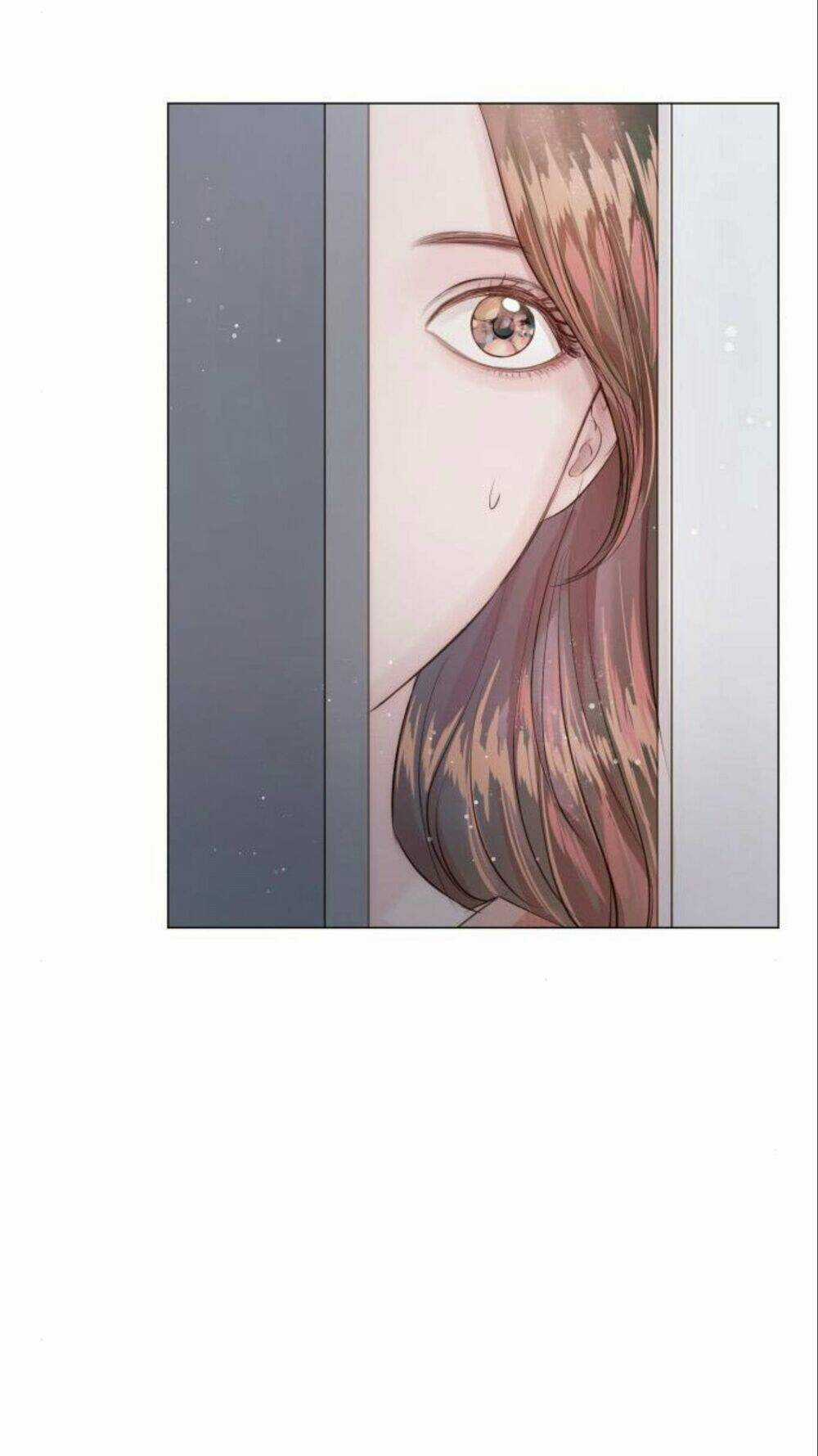 Nhất Định Chúng Ta Sẽ Được Hạnh Phúc Chapter 11 trang 13