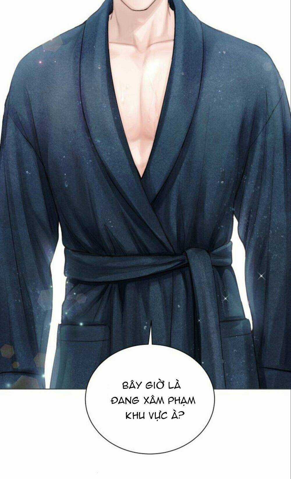 Nhất Định Chúng Ta Sẽ Được Hạnh Phúc Chapter 11 trang 17