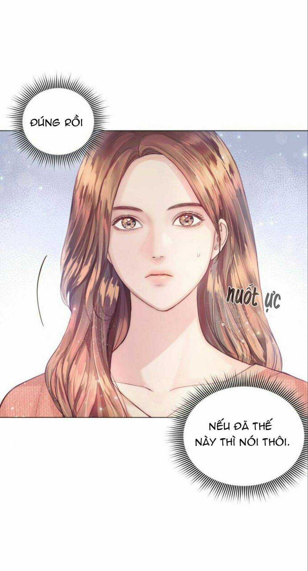 Nhất Định Chúng Ta Sẽ Được Hạnh Phúc Chapter 11 trang 19