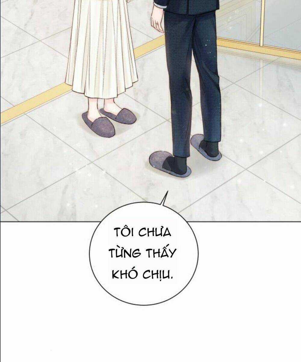 Nhất Định Chúng Ta Sẽ Được Hạnh Phúc Chapter 12 trang 95