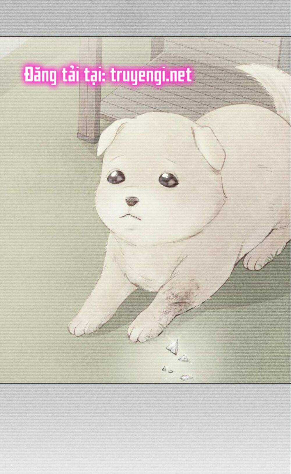 Nhất Định Chúng Ta Sẽ Được Hạnh Phúc Chapter 7 trang 4