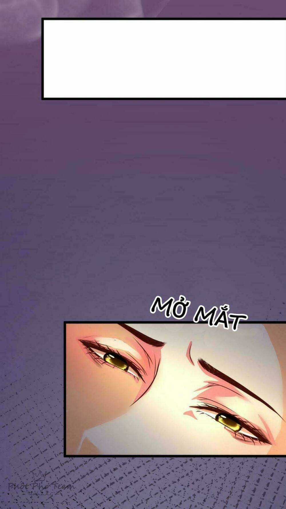 Nhất Đỉnh Vương Phi Chapter 1 trang 11