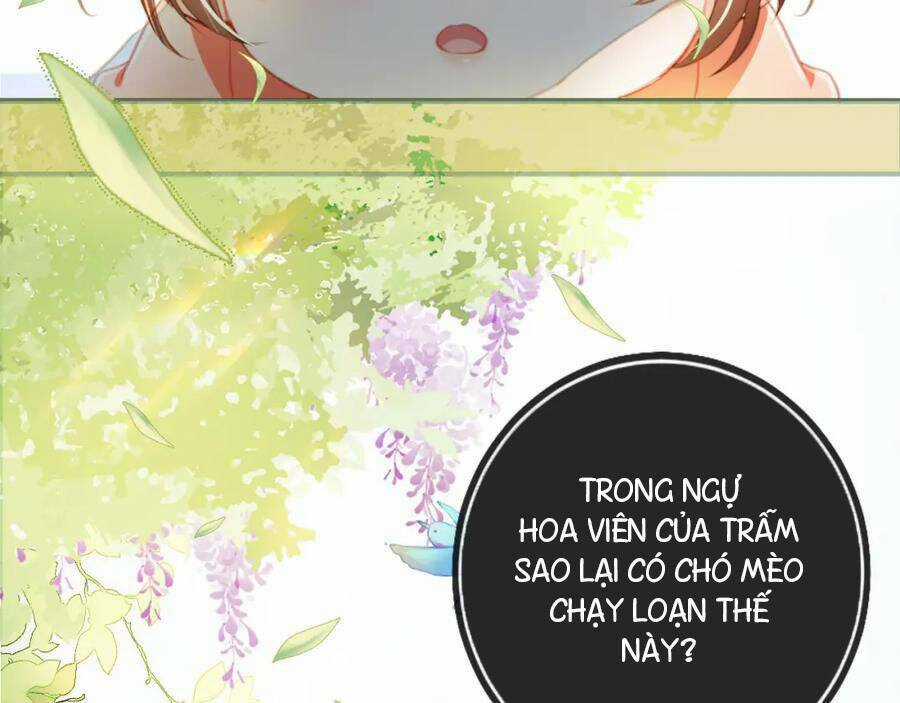 Nhặt Được Bảo Bối Manh Manh Chapter 1 trang 80