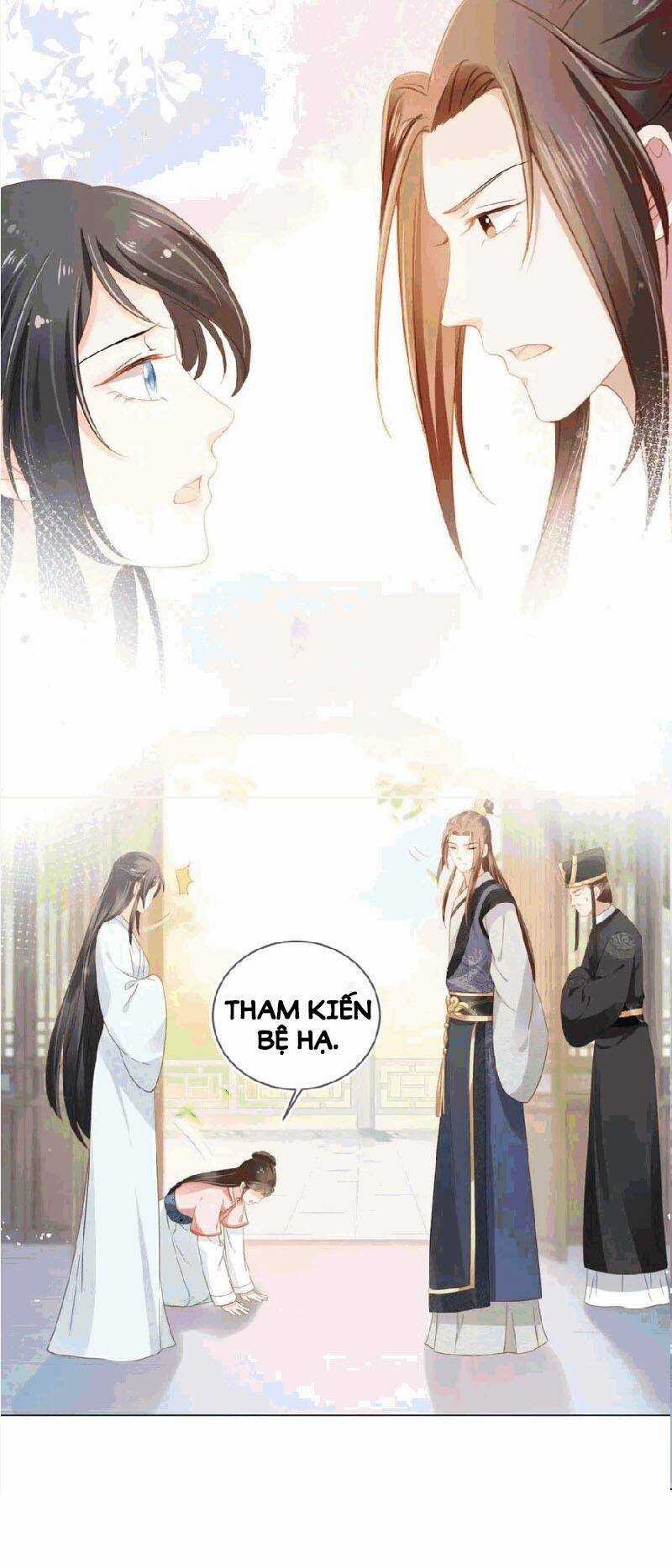 Nhặt Được Bảo Bối Manh Manh Chapter 16 trang 47