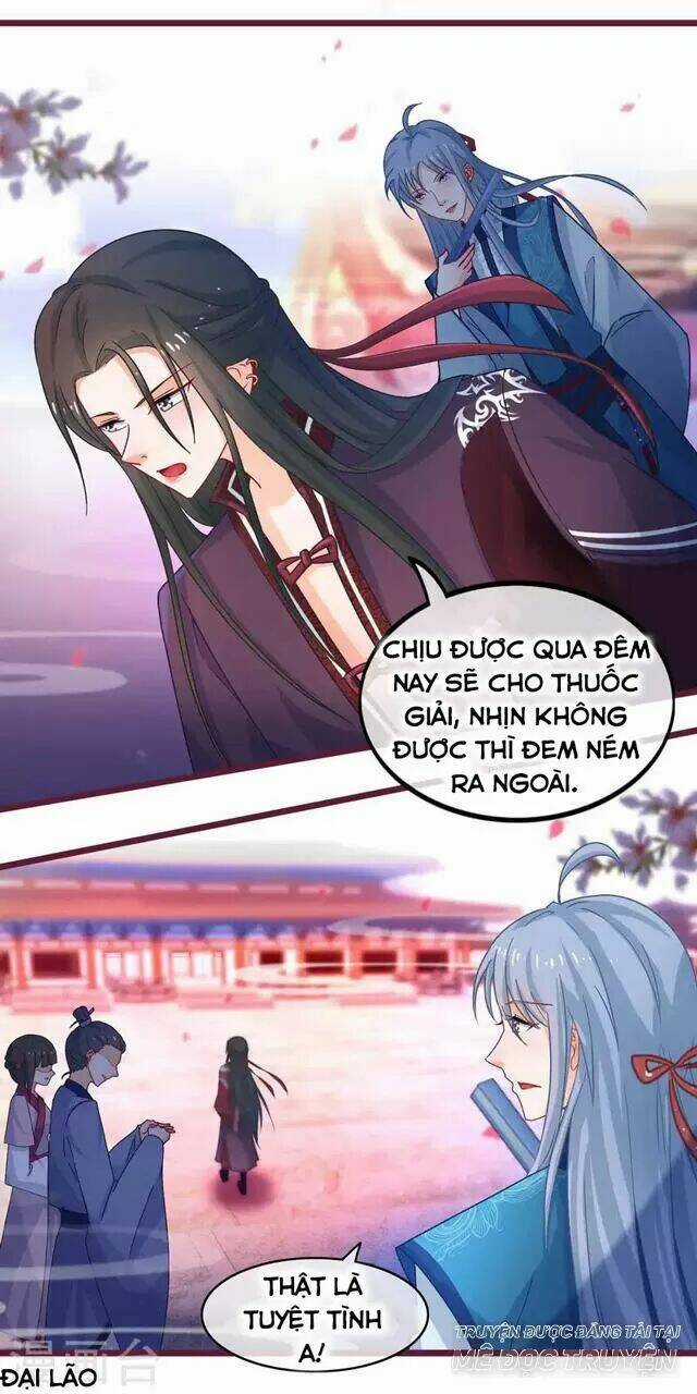 Nhặt Được Một Ma Tôn Đem Về Chăm Sóc Chapter 41 trang 5