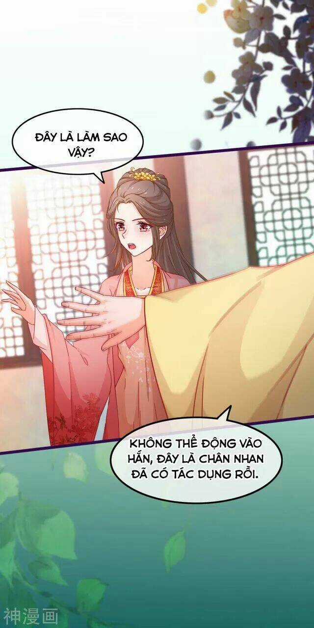 Nhặt Được Một Ma Tôn Đem Về Chăm Sóc Chapter 74 trang 11