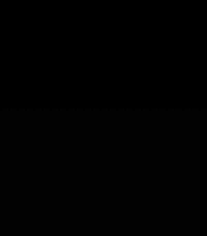 Nhật Hành Nhân Chương 24 trang 211