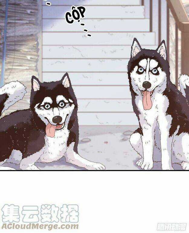 Nhật Kí Mưu Sinh Của Tra Nữ Chapter 99 trang 21