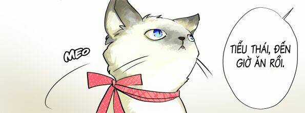 Nhật Ký Đầu Gấu Chapter 3 trang 42