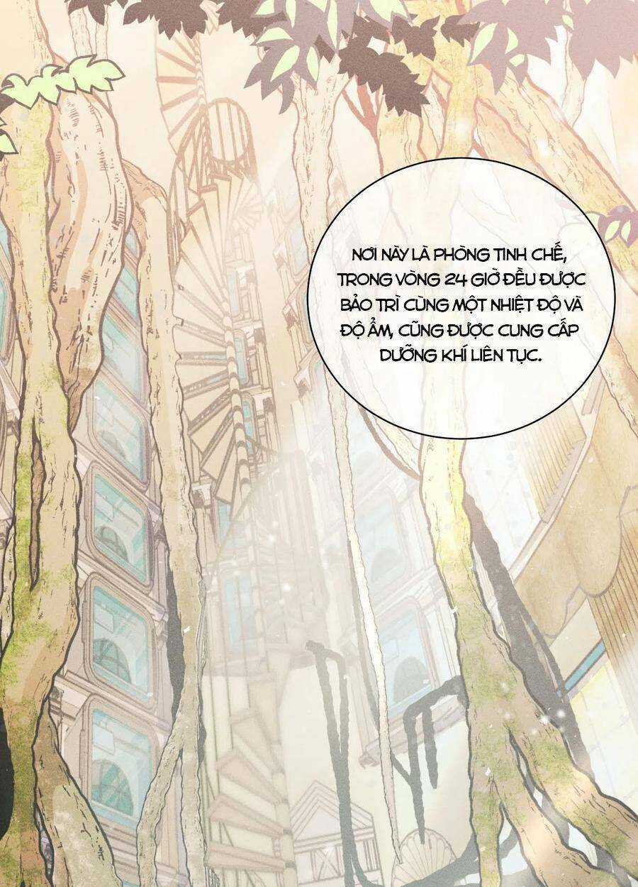 Nhật Ký Nấm Ma Cô Chapter 11 trang 10