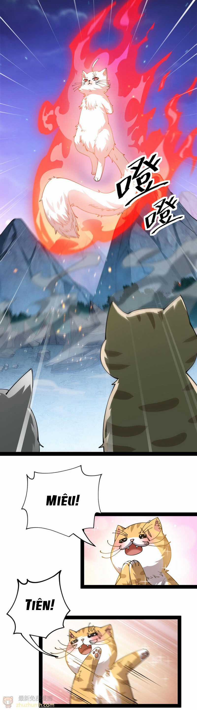 Nhật Ký Thường Ngày Của Tiên Vương Chapter 74 trang 2