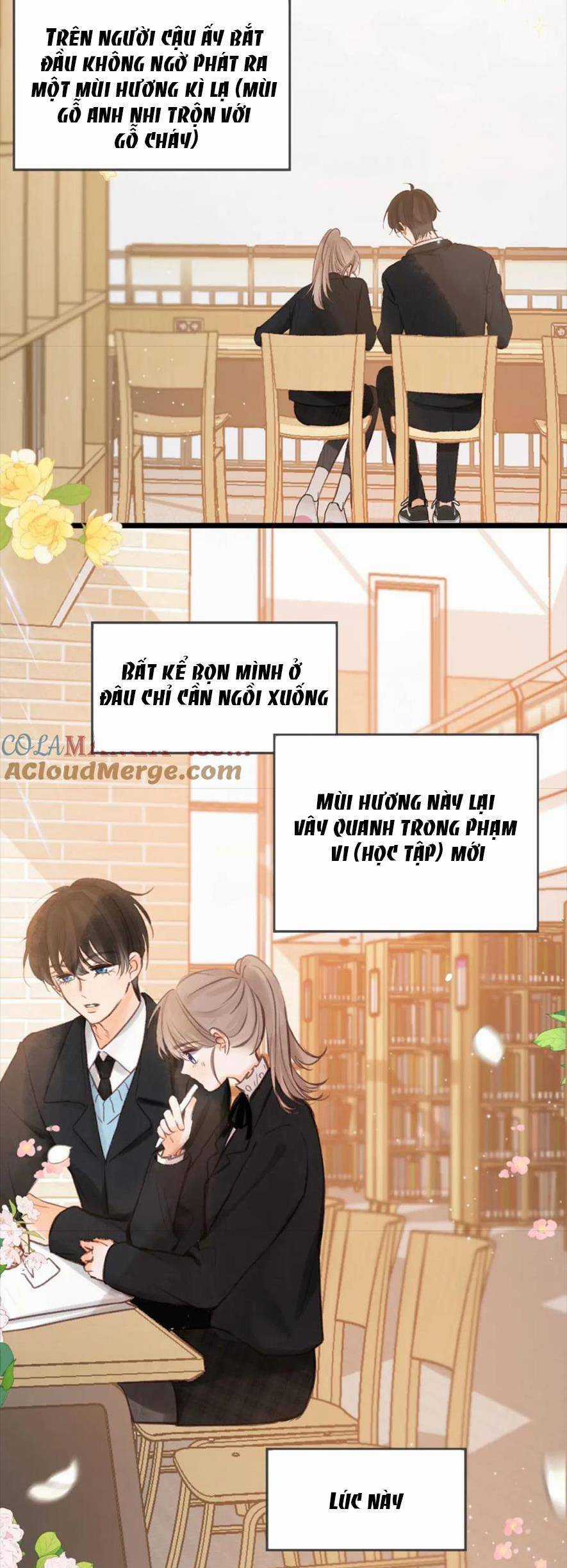 Nhật Ký Tình Yêu Hằng Ngày Chapter 33 trang 12