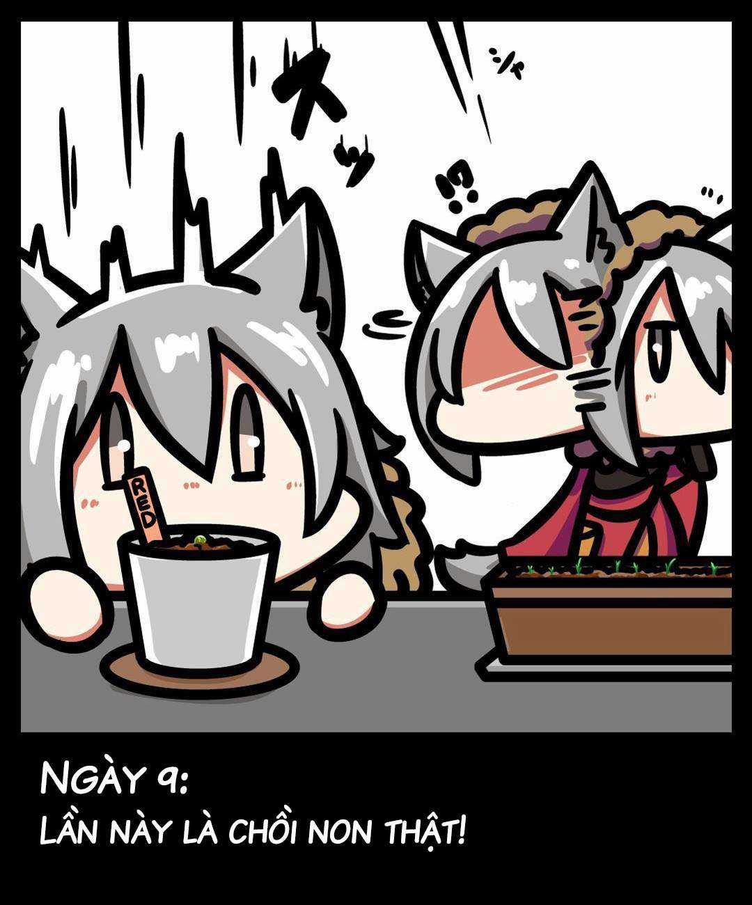 Nhật Ký Trồng Hoa Của Red (Arknights) Chapter 0 trang 8