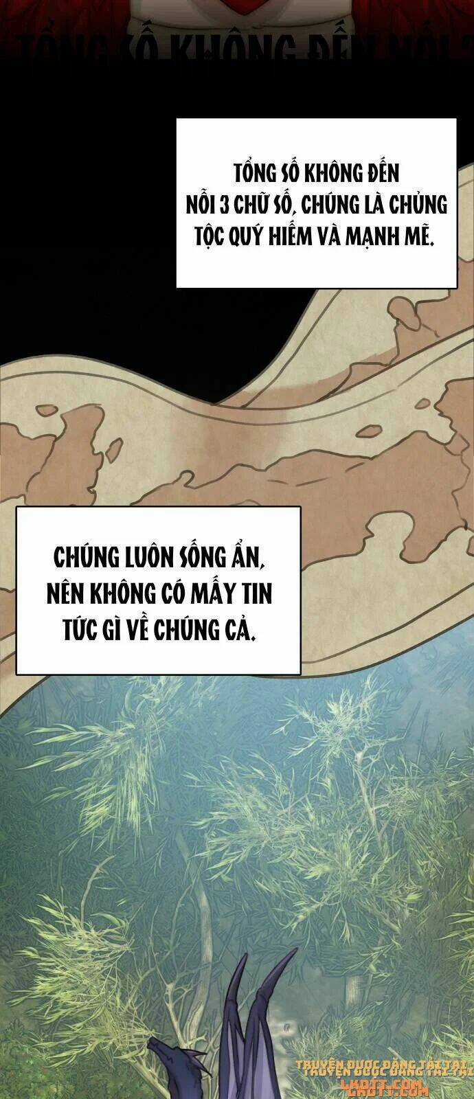 Nhật Ký Tuần Trăng Mật Của Phù Thủy Và Rồng Chapter 11 trang 1