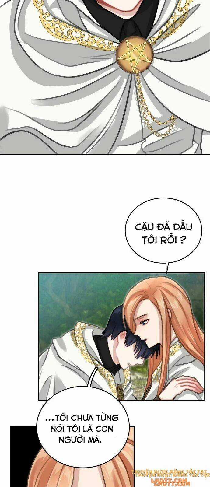 Nhật Ký Tuần Trăng Mật Của Phù Thủy Và Rồng Chapter 11 trang 31