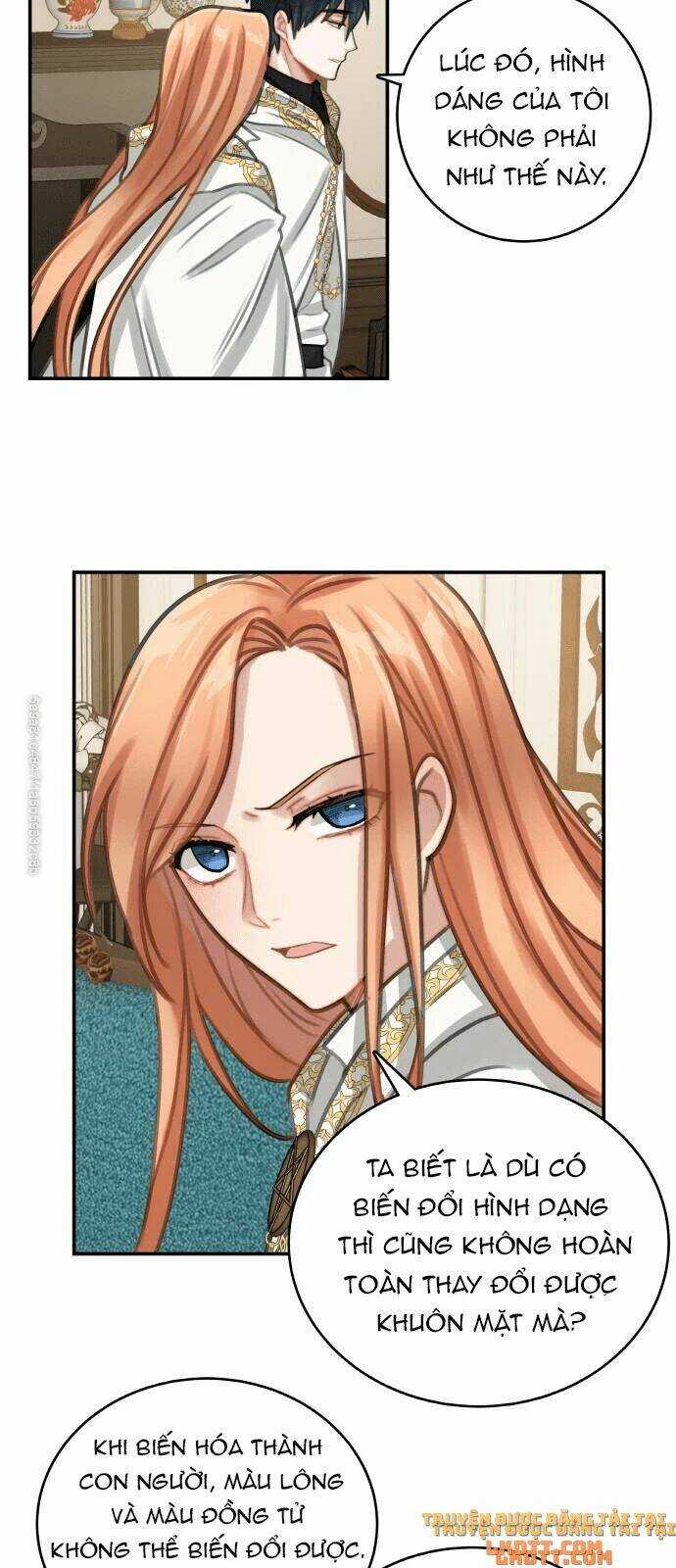 Nhật Ký Tuần Trăng Mật Của Phù Thủy Và Rồng Chapter 12 trang 17