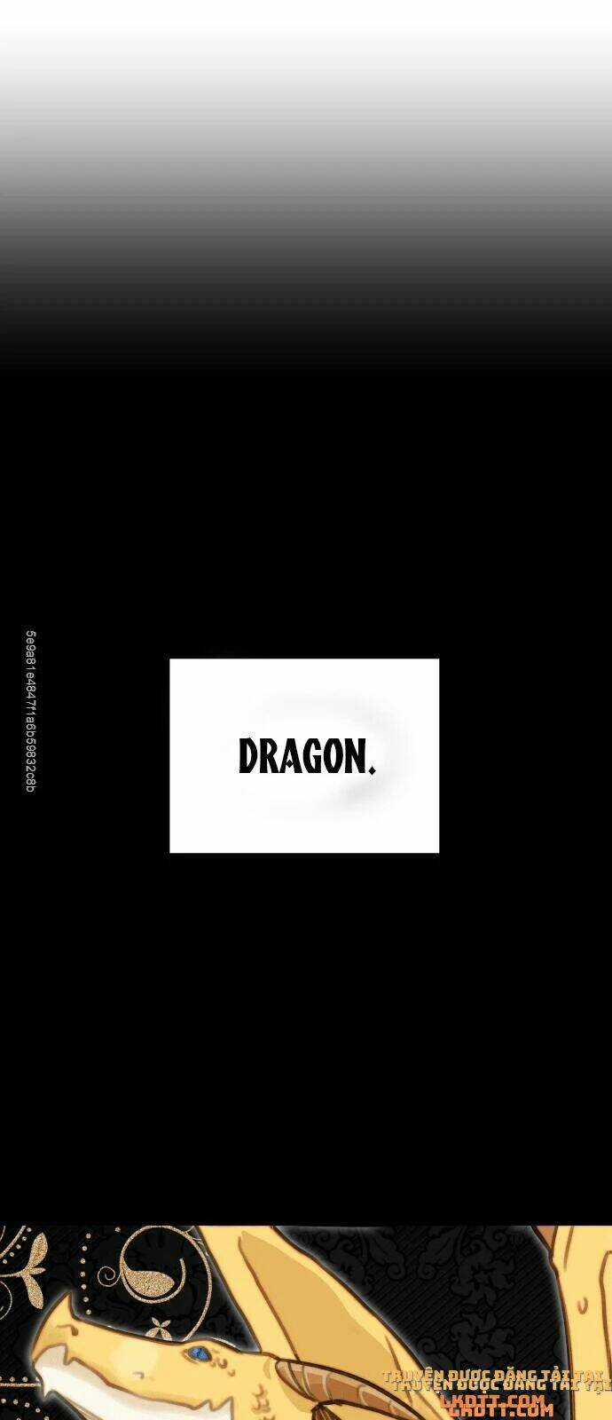 Nhật Ký Tuần Trăng Mật Của Phù Thủy Và Rồng Chapter 12 trang 27