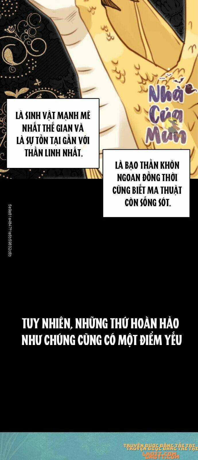 Nhật Ký Tuần Trăng Mật Của Phù Thủy Và Rồng Chapter 12 trang 28